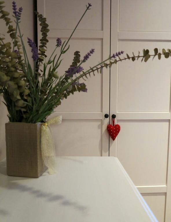 أولوت Apartment Sant Francesc المظهر الخارجي الصورة